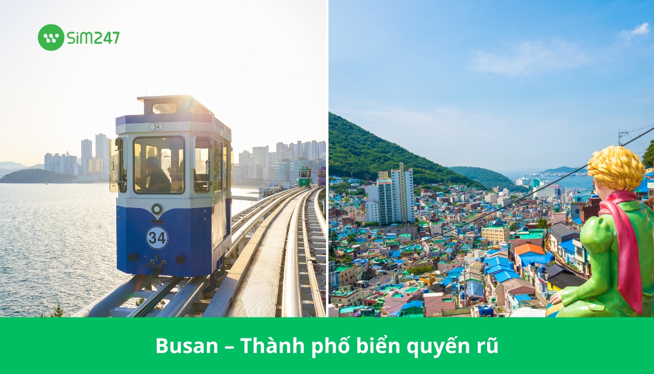 Đi Hàn Quốc dùng mạng gì?