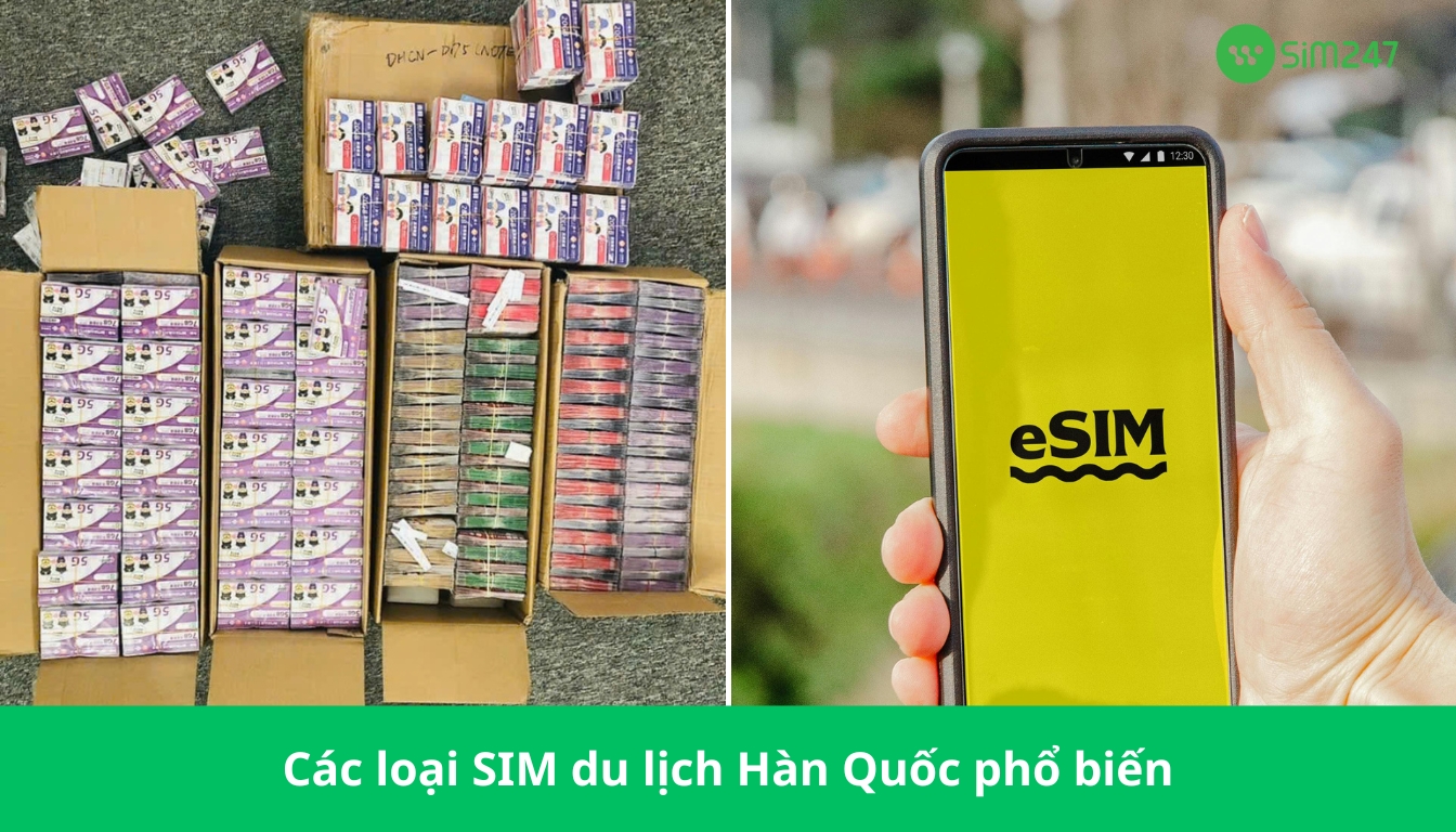 sim 4G du lịch Hàn Quốc